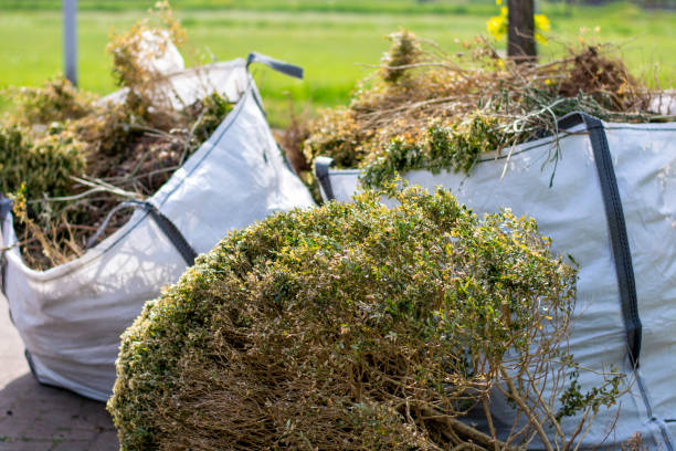 Best Shed Removal  in Charlestown, MD